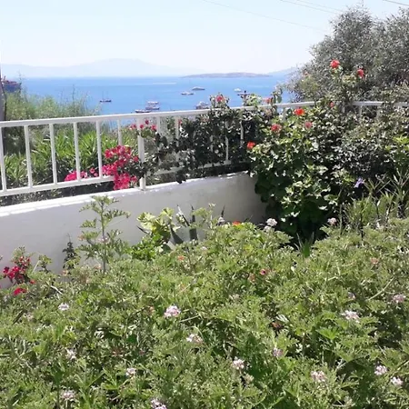 Mert Homes Apartment Bodrum