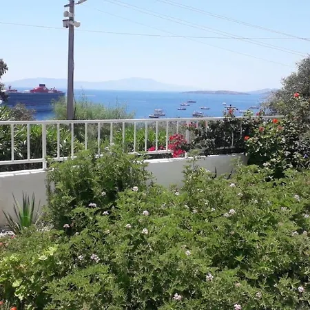 Mert Homes Bodrum