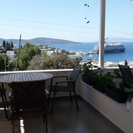 Mert Homes